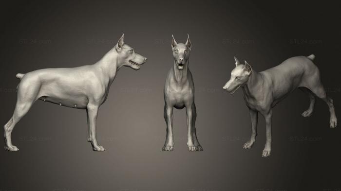 Animal figurines (DOBERMAN, STKJ_2112) 3D models for cnc